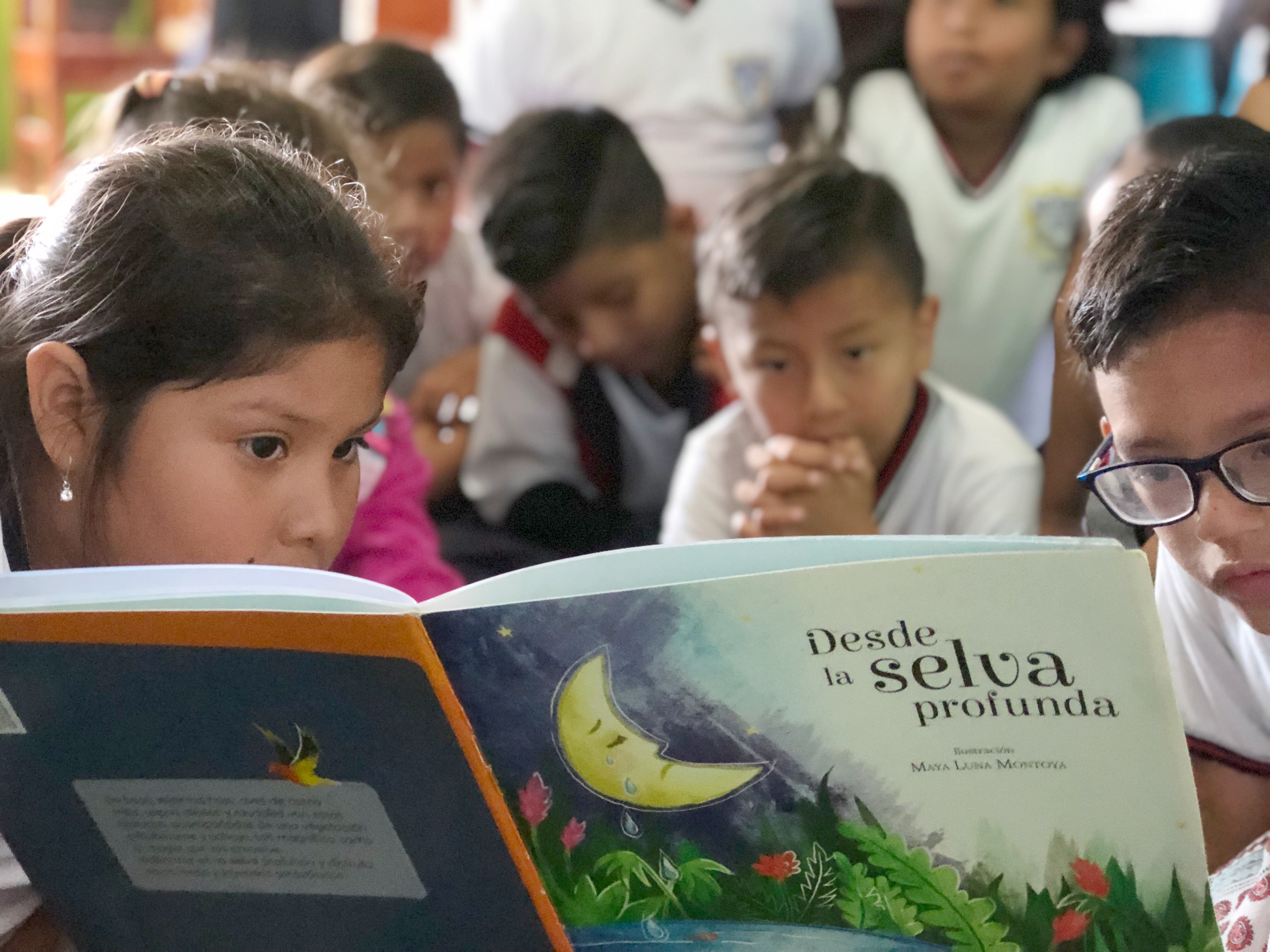 Abstract Art and the Amazon