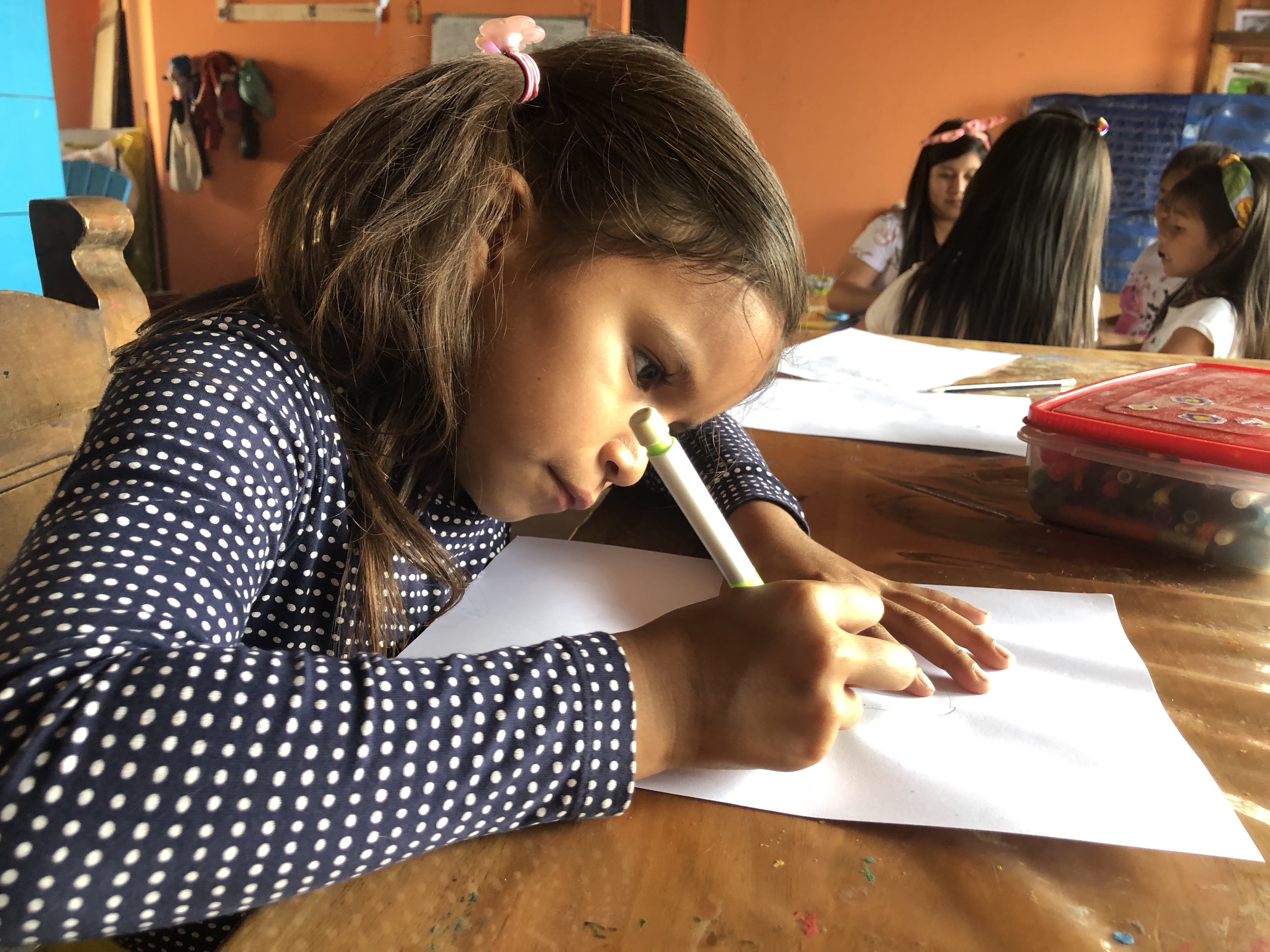 September in the Selva