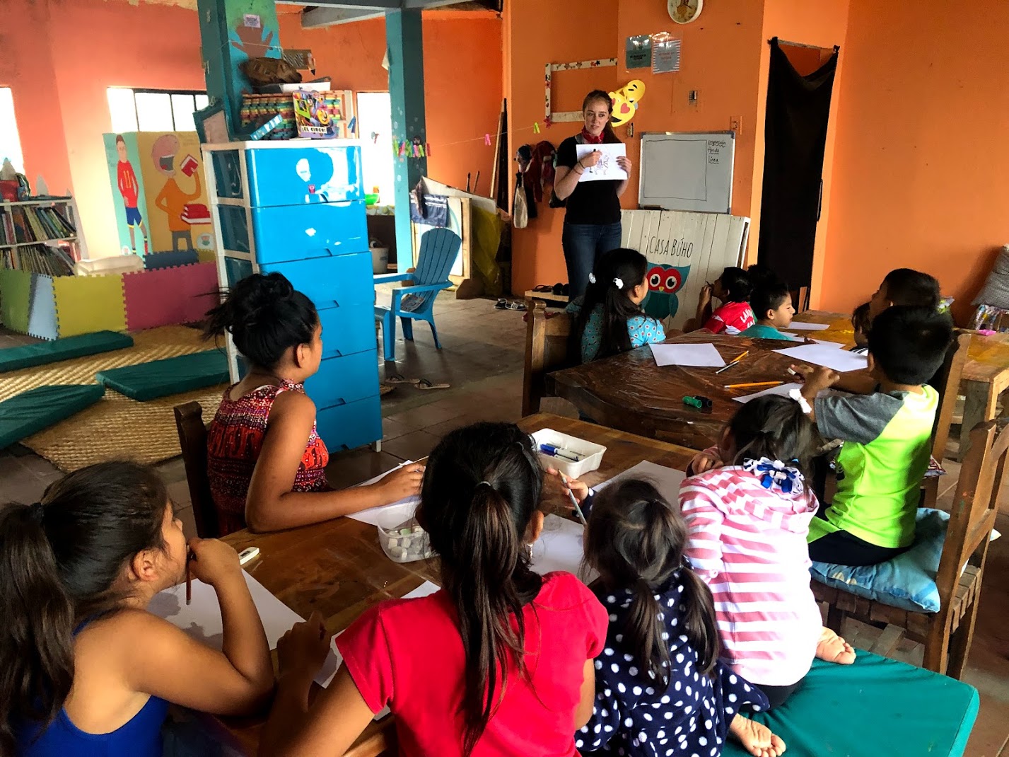 Seals, Llamas, and Insects, OH MY!